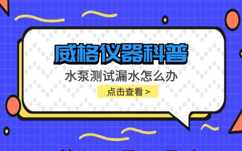 威格儀器-水泵測試的時(shí)候漏水怎么辦插圖